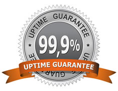 99.(5 Uptime Guarantee